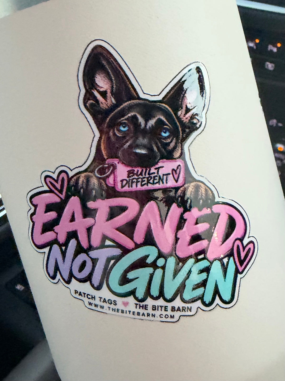 Pink and mint Earned Not Given sticker by The Bite Barn